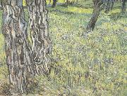 Vincent Van Gogh Pine Trees and Dandelions in the Garden of Saint-Paul Hospital (nn04) china oil painting artist